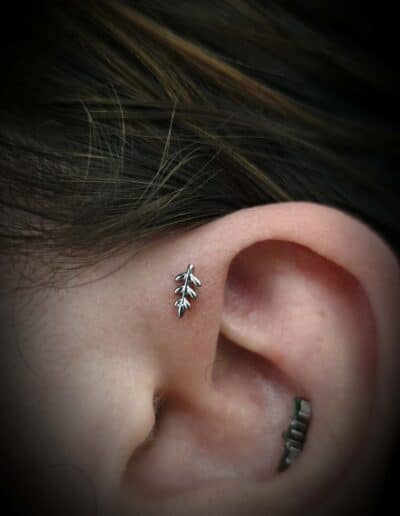 piercing angoulême charente dark little chrysalide tattoo